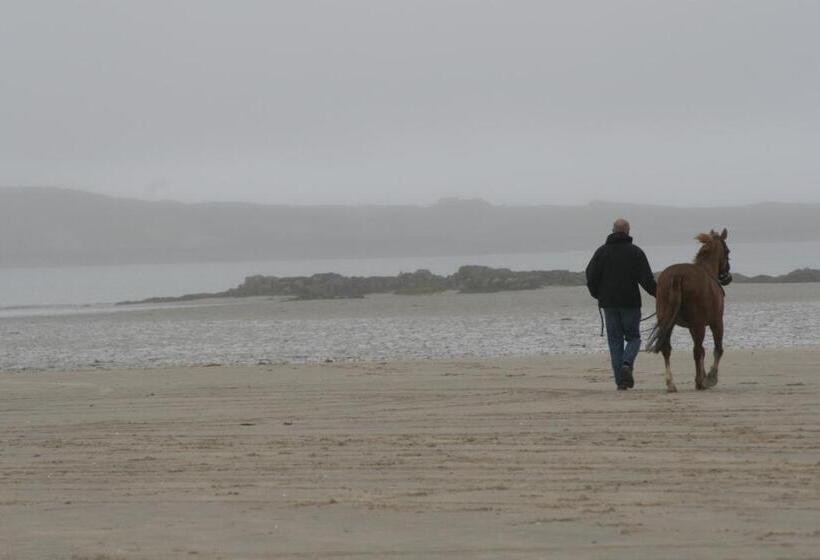 호텔 Castlehouse B&b