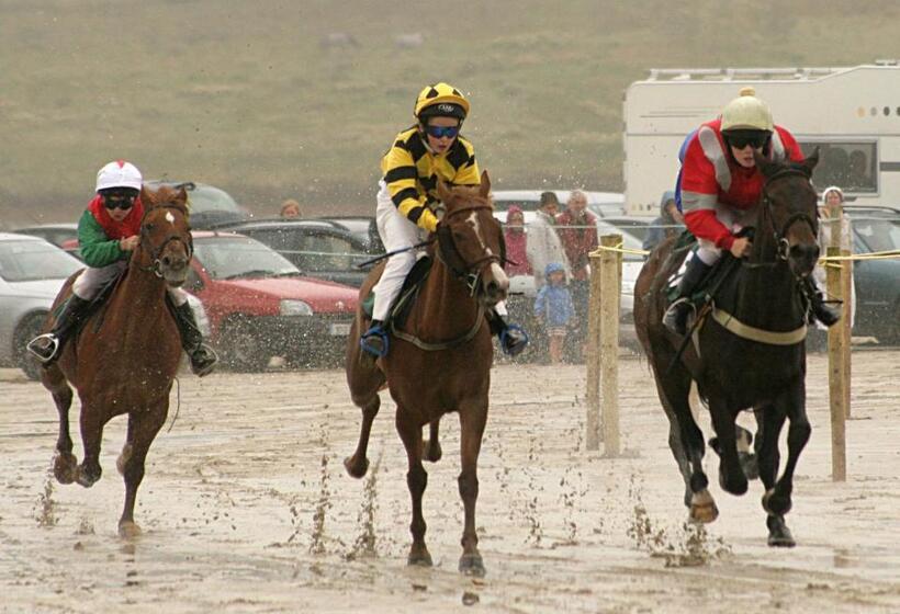 호텔 Castlehouse B&b