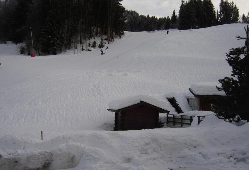 هتل Hôtel Les Bernards