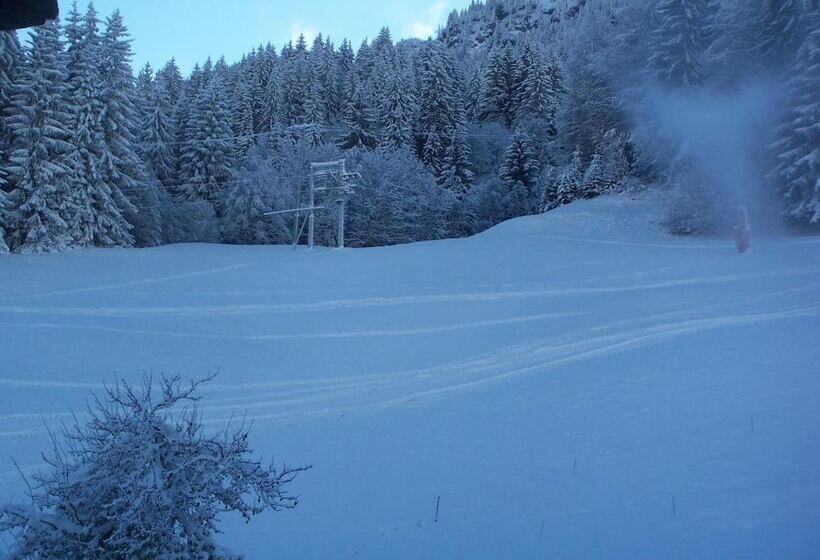 هتل Hôtel Les Bernards