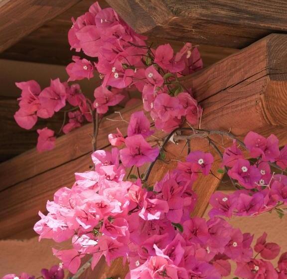 호텔 Villaggio Turchese