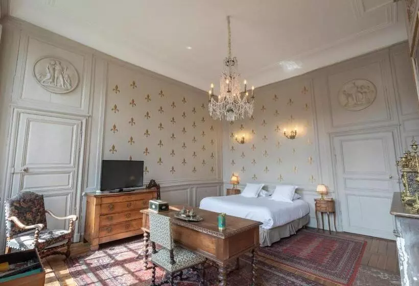 L Hotel De Panette, Un Exceptionnel Château En Ville   Cathédrale
