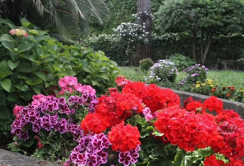 ホテル B&b Il Sogno