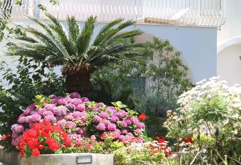 ホテル B&b Il Sogno