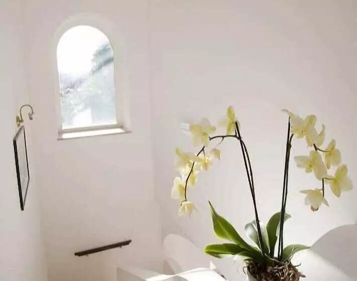 ホテル B&b Il Sogno