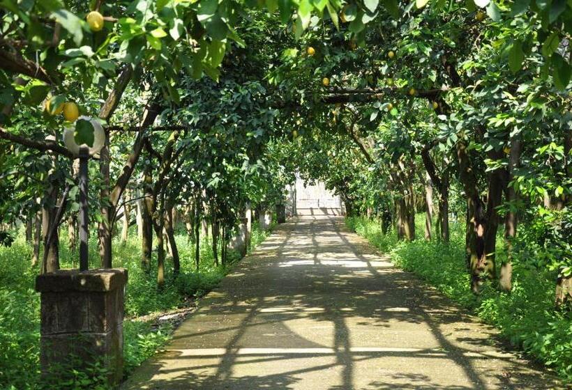 ホテル Bed And Lemons