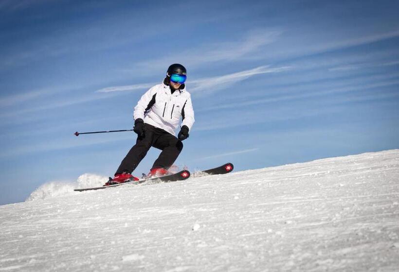 فندق Bonfanti Design