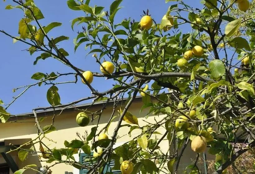 ホテル Cà Du Ferrà Farm & Relax