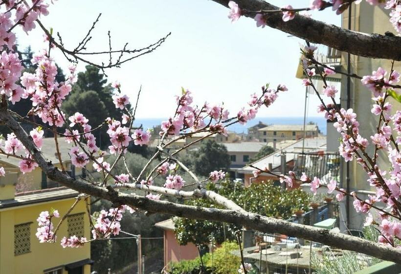 בית מלון כפרי Cà Du Ferrà Farm & Relax