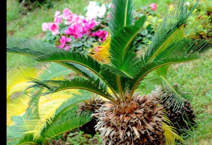 בית מלון כפרי Domus Aequana