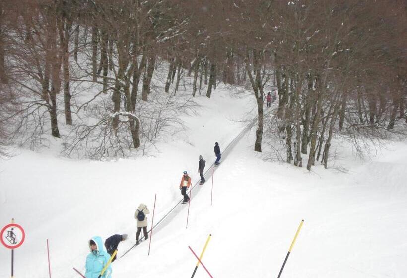 فندق Domus Lilio