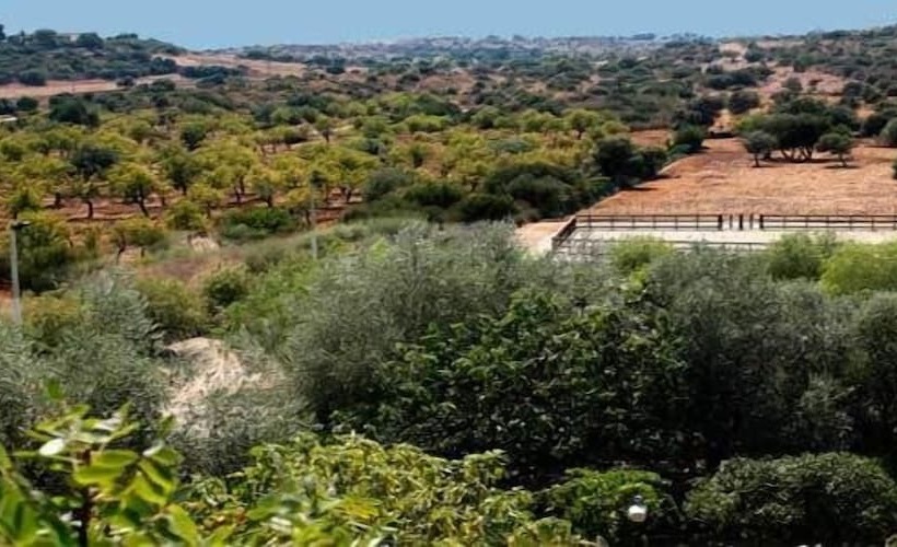 فندق Fattoria Terra E Libertà