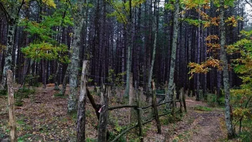 ホテル La Collina Delle Stelle