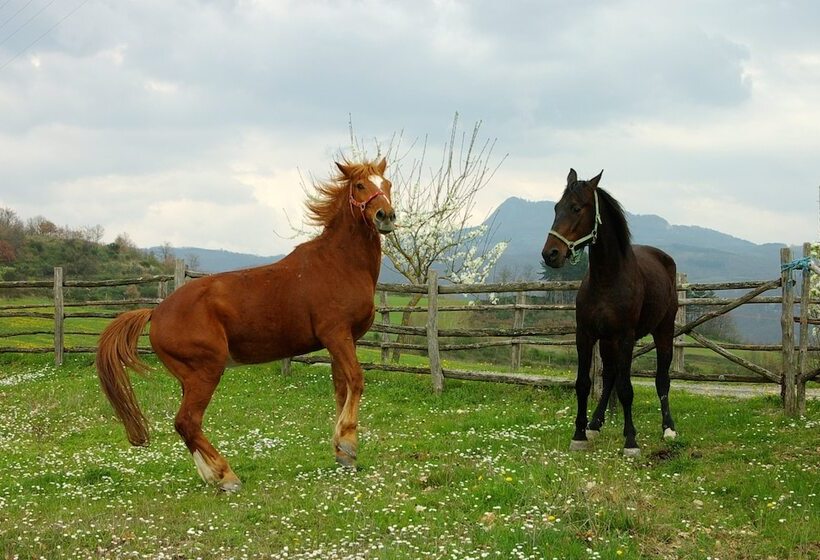 Отель La Collina Delle Stelle