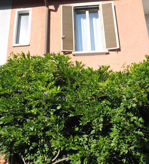 Fotos del hotel B&b La Villetta:  10