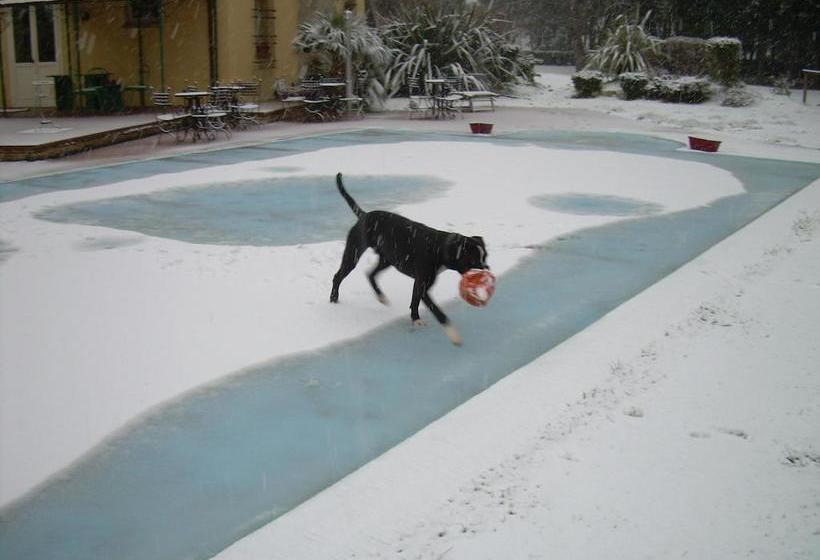 호텔 Locanda Strada Della Marina