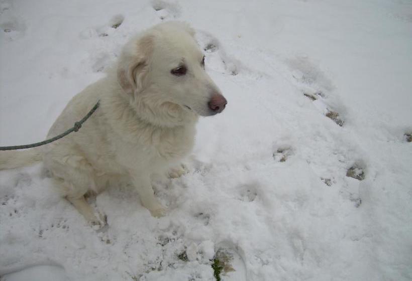 호텔 Locanda Strada Della Marina