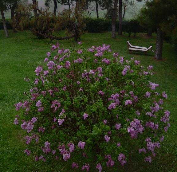 호텔 Locanda Strada Della Marina