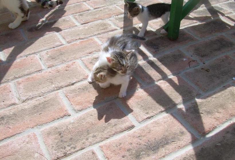 호텔 Locanda Strada Della Marina