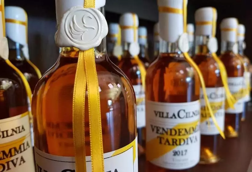 هتل Villa Cilnia