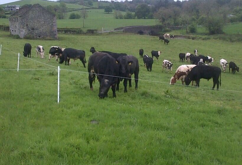 ベッドアンドブレックファースト Dundrum House