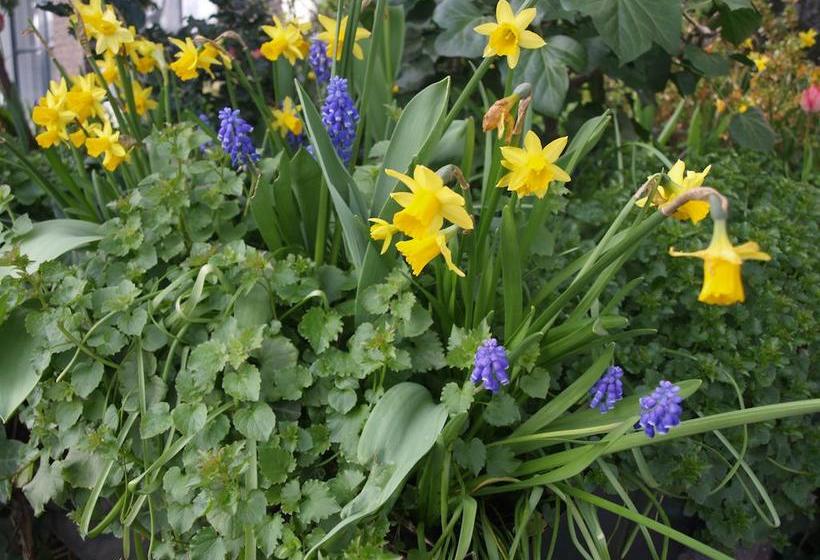 Hotel B&b De Baronie