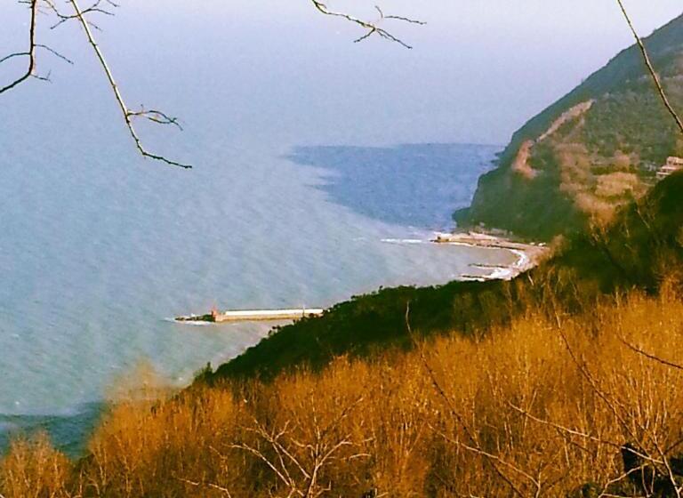 Hotel B&b Everest Bar Ristorantino