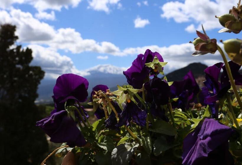 בית מלון כפרי Casa Cuseni, Patrimonio Culturale Immateriale Unesco