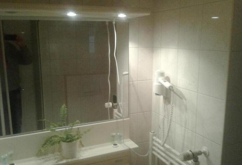 בית מלון כפרי De Twentse Nar