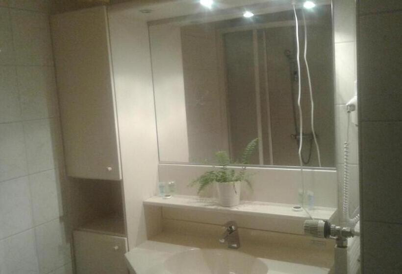 בית מלון כפרי De Twentse Nar