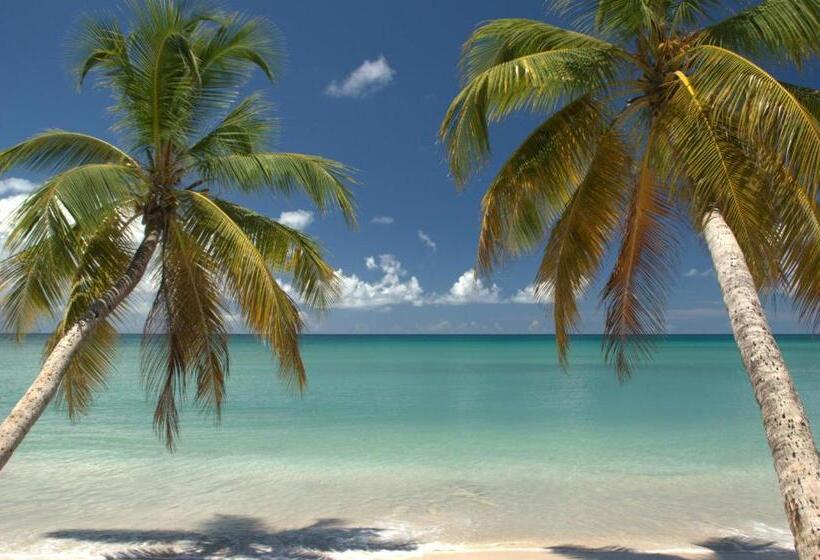 Hotel Diamant Les Bains   Résidence Hôtelière