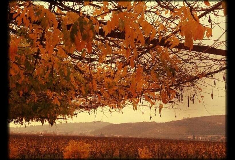 בית מלון כפרי Dimora Buglioni Wine Relais