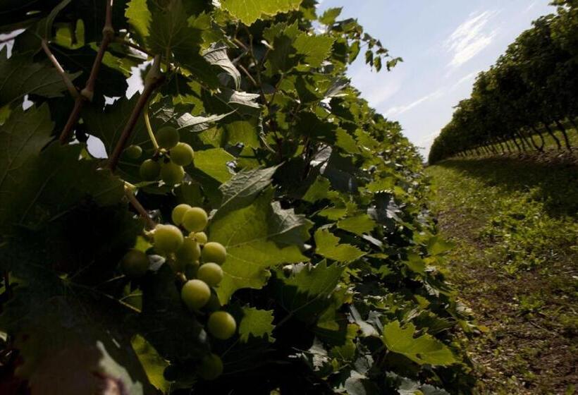 בית מלון כפרי Dimora Buglioni Wine Relais