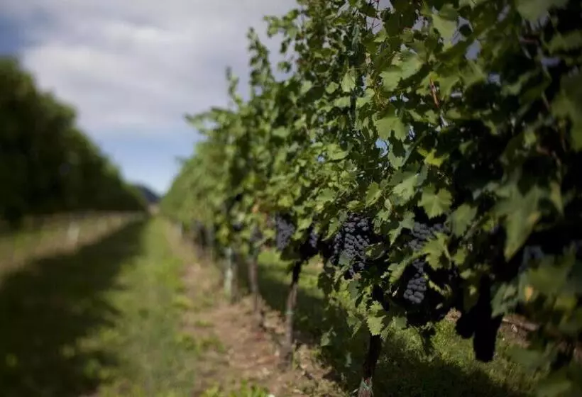 ホテル Dimora Buglioni Wine Relais