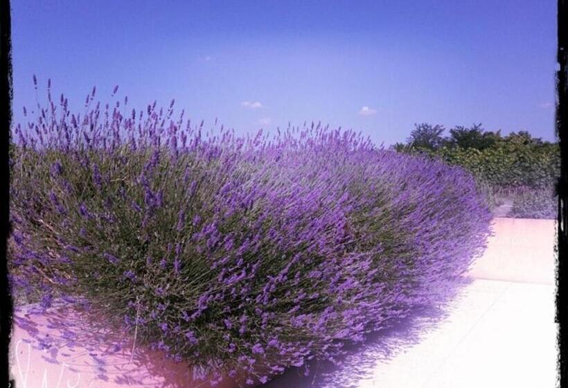 בית מלון כפרי Dimora Buglioni Wine Relais