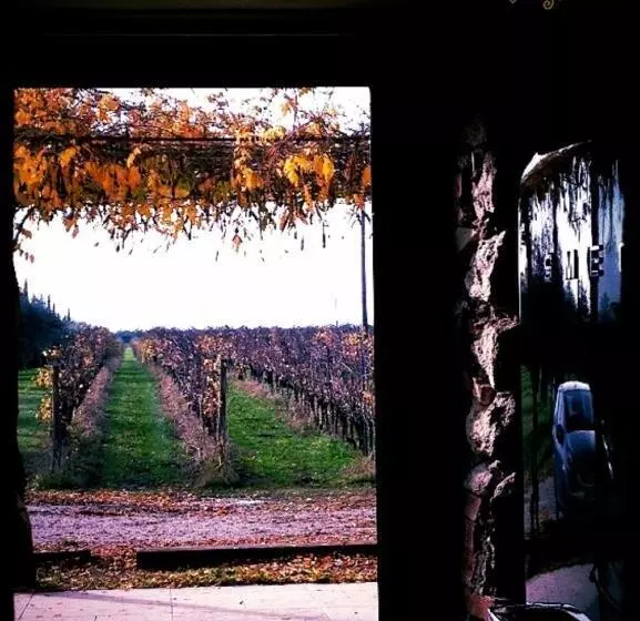 ホテル Dimora Buglioni Wine Relais