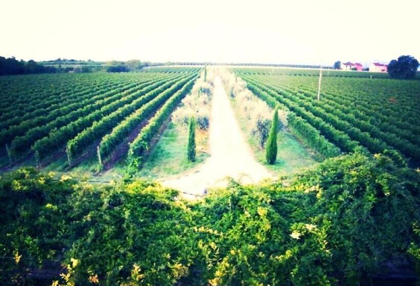 בית מלון כפרי Dimora Buglioni Wine Relais