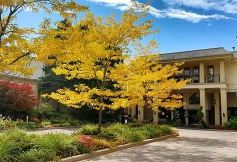 ホテル Hockley Valley Resort