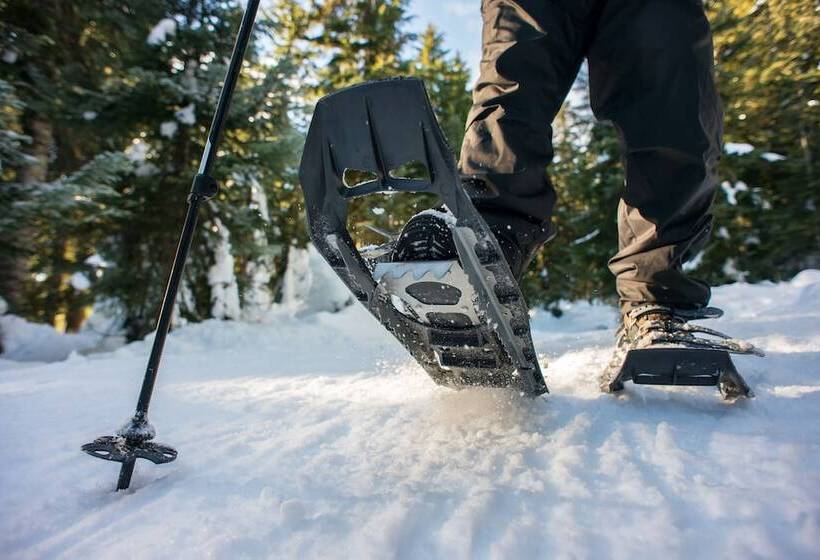 فندق Hockley Valley Resort