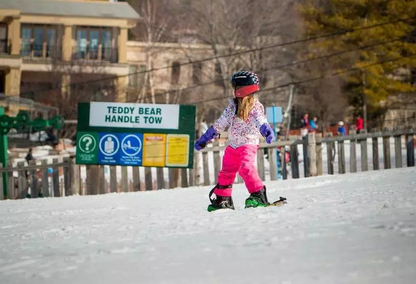 ホテル Hockley Valley Resort