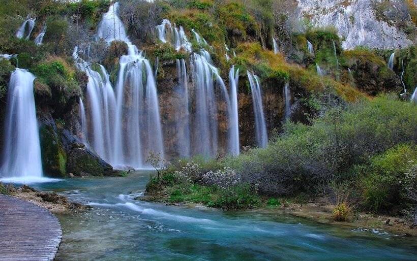 Отель House Delic