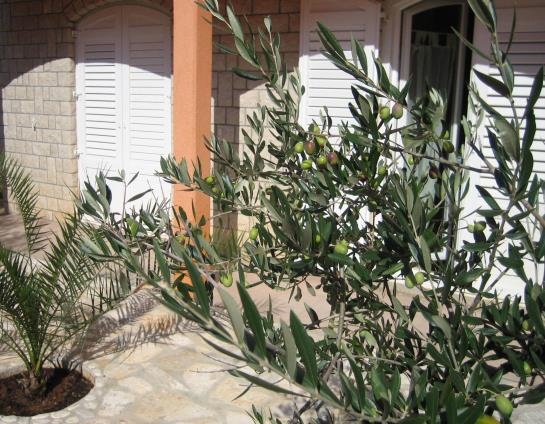 Отель Guest House Mare E Monti