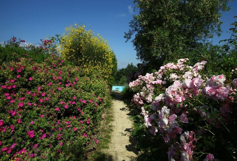 ホテル Podere Il Pino