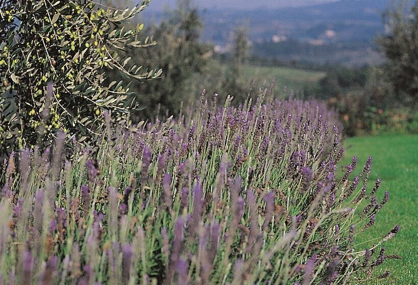 ホテル Podere Il Pino