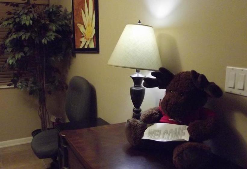 酒店 Squamish Budget Inn