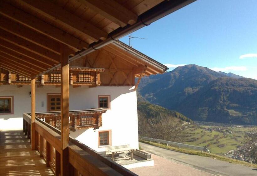 酒店 Virtus Et Otium  Feldererhof