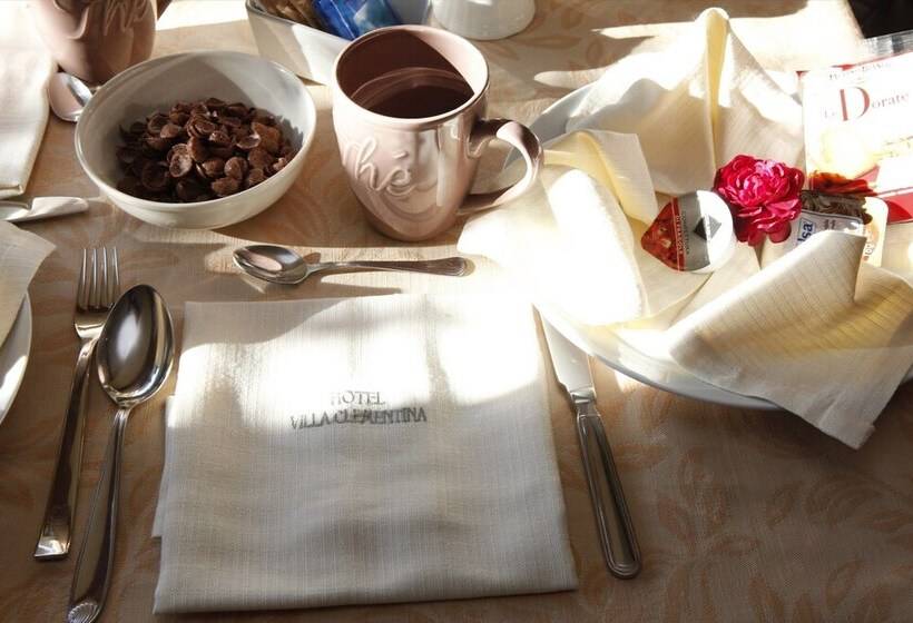 Отель Villa Clementina