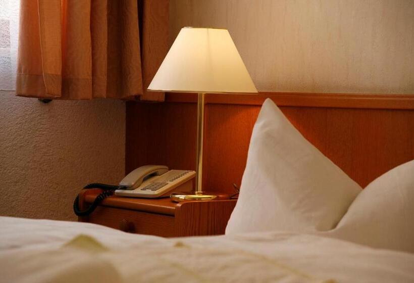 فندق Zum Kanzler