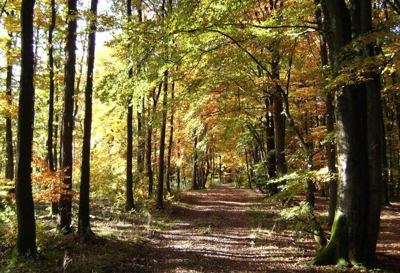 Landhotel Halbfas Alterauge