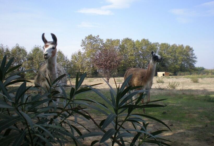 בית מלון כפרי Camping Le Sainte Marie